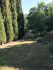 Podere il Giulianelli