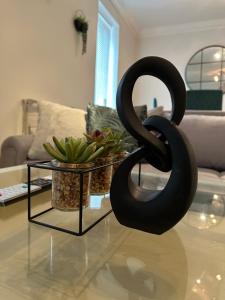 Stadium View, by Cardiff Central, Free Parking