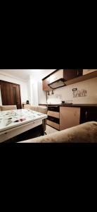 Apartament Raul