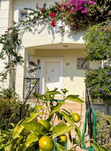 Villa Ruya-PrivatePool-SeaView-GamesRoom