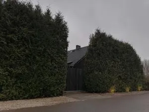 na świetego Urbana netflix canalplus hbo - Kędzierzyn-Koźle