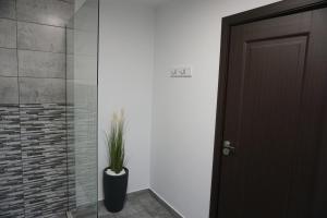 Villa Hannas Garden - Mintia