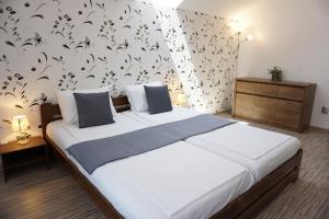 Villa Hannas Garden - Mintia