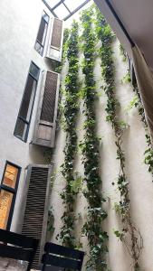 Riad HOUSE REDMERY
