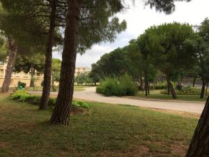 LE PARC , Balaruc les bains T2 clim PMR