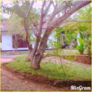 Hill Top Hostel Hikka