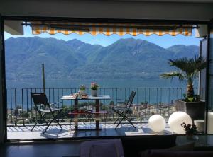 Nibbio by Fewotessin