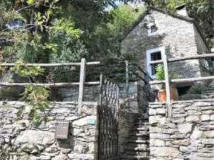 Rustico Gatto by Fewotessin - Agarone