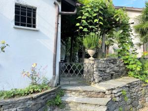 Rustico Amorini by Fewotessin