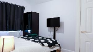 Morden Model Accommodation