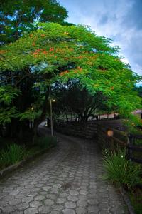 Bella vista