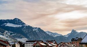 Gruyère Alpes Appartement 3 chambres BBQ Parking