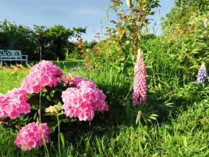 Huus Sülltje Int Logis