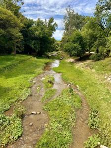 Casa el zorzal Agua de oro