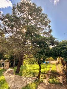 Casa el zorzal Agua de oro