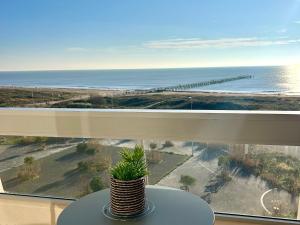 Studio confortable avec vue mer, animaux acceptés - FR-1-652-48