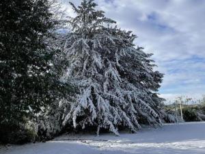 Vivez le Charme du Château avec WiFi à Bellavilliers - FR-1-497-102