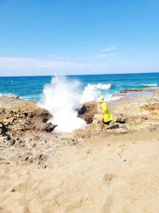 Blue fish apartamento