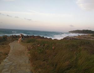 Blue fish apartamento