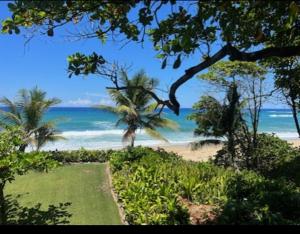 Blue fish apartamento