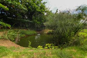 BlueEcolandia Bungalow AGUA