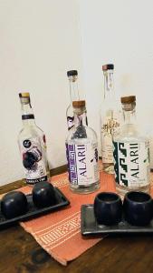 Monte Alban y Mezcal