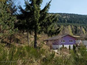 Maisons de vacances Gite calme avec jardin zen, piscine et randonnee au Parc des Vosges - FR-1-589-763 : photos des chambres