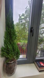 Ngôi nhà nhỏ dưới chân đồi