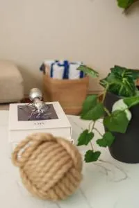 Casa Mar - El Centenario