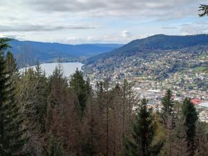 Appartements loue appartement mon petit bonheur a Xonrupt Longemer pour 1 a 2 personnes : photos des chambres