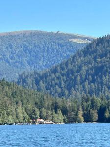 Appartements loue appartement mon petit bonheur a Xonrupt Longemer pour 1 a 2 personnes : photos des chambres