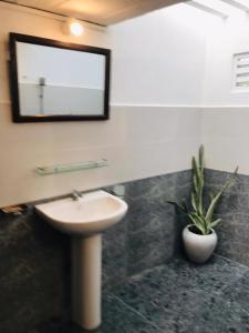 Villa 376