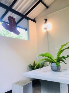 Villa 376