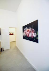 Budget & Friendly 3BR Shared Apt for 9, Near Augarten