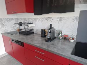Appartements Joli T2 cosy avec jardin privatif : photos des chambres
