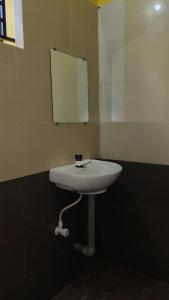 Dream Oasis Home Stay