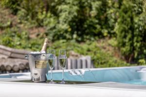 Villa Trésor Voronet