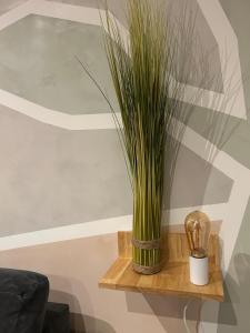 Appartements Appartement Savane entre Disney et Paris : Appartement 1 Chambre