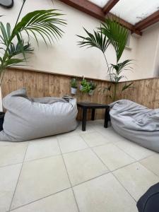 Little House Green Relax