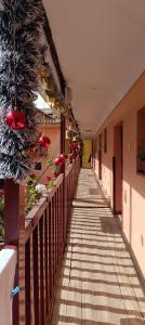 Casa Anais& Nicolas Cusco Htl Económico