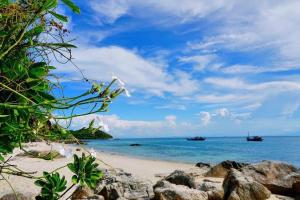 Homestay Ngô Khánh 1