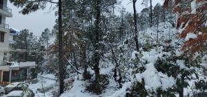 The Hoften Blue Magnets, Dalhousie