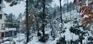 The Hoften Blue Magnets, Dalhousie