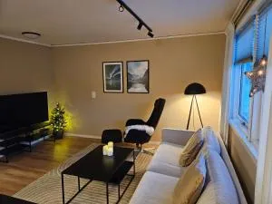 1 bedroom apt with parking - Nygård