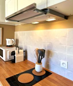 Appartements Studio Alba - Confort moderne - Terrasse - Parking gratuit - Non fumeur : photos des chambres
