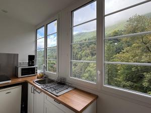 Appartements Studio Nid sur la Cascade : photos des chambres