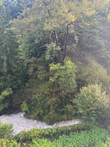 Appartements Studio Nid sur la Cascade : photos des chambres