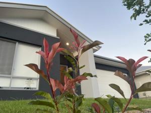 Charming Home in Griffin for Unforgettable stay