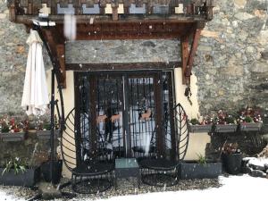 AU SOMMET DES NARCISSES