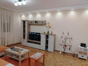 Star Apartment Belgrade 1